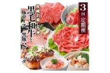定期便＜3回配送＞枕崎お楽しみ便(A5黒毛和牛・豚ロース・黒豚ハンバーグ・かつお丼)LL-6037_ 肉 お肉 牛肉 切り落とし すき焼き もつ鍋 黒豚 豚肉 かつお 鰹 焼肉 【1473519】
