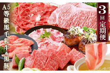 定期便(3回配送)鹿児島産A5等級黒毛和牛&黒豚 EE-6014_ 定期便 黒毛和牛 黒豚 サーロイン ステーキ ハンバーグ 焼肉 切り落とし 人気 おすすめ 送料無料 贈答 ギフト A5 鹿児島県 枕崎 【1471286】