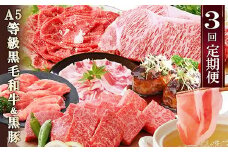 定期便(3回配送)鹿児島産A5等級黒毛和牛&黒豚 EE-6014_ 定期便 黒毛和牛 黒豚 サーロイン ステーキ ハンバーグ 焼肉 切り落とし 人気 おすすめ 送料無料 贈答 ギフト A5 鹿児島県 枕崎 【1471286】