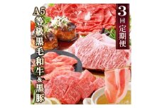 定期便(3回配送)鹿児島産A5等級黒毛和牛&黒豚 EE-6014_ 定期便 黒毛和牛 黒豚 サーロイン ステーキ ハンバーグ 焼肉 切り落とし 人気 おすすめ 送料無料 贈答 ギフト A5 鹿児島県 枕崎 【1471286】