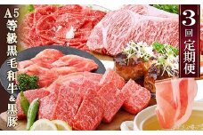 定期便(3回配送)鹿児島産A5等級黒毛和牛&黒豚 EE-6014_ 定期便 黒毛和牛 黒豚 サーロイン ステーキ ハンバーグ 焼肉 切り落とし 人気 おすすめ 送料無料 贈答 ギフト A5 鹿児島県 枕崎 【1471286】