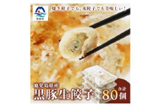 ＜ねぎ塩付き＞鹿児島手づくり黒豚生餃子 20個×4パック＜合計80個＞ A3-319【1166530】