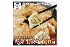 ＜ねぎ塩付き＞鹿児島手づくり野菜たっぷり生餃子 20個×5パック＜合計100個＞ A3-321【1166531】