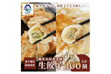 ＜ねぎ塩付き＞鹿児島手づくり黒豚生餃子&野菜たっぷり生餃子 20個×5パック A3-320【1166532】