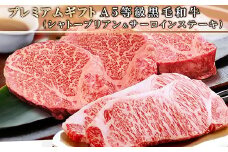 ＜プレミアムギフト＞A5等級黒毛和牛(シャトーブリアン・サーロインステーキ) E0-5_ 牛肉 肉 お肉 シャトーブリアン サーロイン ステーキ 黒毛和牛 霜降り ヒレ 赤身 おすすめ 鹿児島県 枕崎市 【1166301】