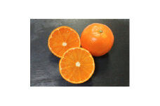 ＜訳あり＞鹿児島県枕崎市産　濃厚完熟たんかん5kg A8-6【1473862】