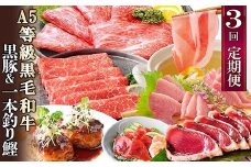 定期便(3回配送)黒毛和牛・黒豚・カツオ LL-6036_ 定期便 牛肉 鰹 たたき かつお 肉 お肉 豚肉 しゃぶしゃぶ 豚しゃぶ 焼肉 やきにく ハンバーグ ロース バラ 切り落とし 生ハムかつお丼 【1483594】