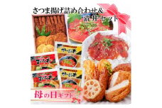 ＜母の日＞さつま揚げ詰め合わせ&漬丼セット A0-26M【1485996】