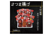 真空パック さつま揚げ(つけあげ)全9種詰合せ 化粧箱入り A8-91【1487548】