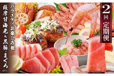 定期便2回配送　お楽しみバラエティ定期便(鹿児島県産黒豚・鮪etc) DD-6008_ 定期便 甘えび 黒豚 マグロ ハンバーグ ネギトロ さつま揚げ 人気 おすすめ 送料無料 鹿児島県 枕崎市 【1486572】