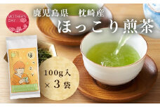 ＜母の日＞ほっこり煎茶 100g×3袋 A5-1M【1494853】