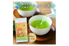 ＜父の日＞(一番茶のみ使用)ほっこり煎茶 100g×3袋 A5-1F【1494854】