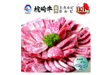 ＜父の日＞枕崎牛 上カルビ+カルビ 合計 1.1kg  和牛焼肉セット C7-10F【1498910】
