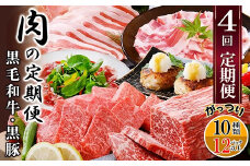 定期便4回配送　肉の定期便 EE-6016_ 定期便 肉 黒毛和牛 黒豚 ロース バラ ハンバーグ ソーセージ 人気 おすすめ 送料無料 贈答 ギフト 鹿児島県 枕崎 【1491491】