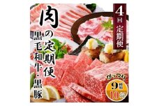 定期便4回配送　肉の定期便 EE-6016_ 定期便 肉 黒毛和牛 黒豚 ロース バラ ハンバーグ ソーセージ 人気 おすすめ 送料無料 贈答 ギフト 鹿児島県 枕崎 【1491491】