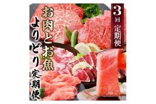 定期便3回配送　お肉とお魚よりどり定期便 LL-6016_ 定期便 黒毛和牛 ステーキ 赤身 鰹 かつお 中トロ 黒豚 ロース ミンチ 鹿児島県 枕崎市 人気 おすすめ 送料無料 【1498567】