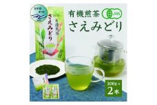 ＜父の日＞1番茶のみを使用 有機煎茶＜さえみどり＞KAORU園 (100g×2本) A6-118F【1499916】