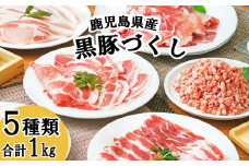 黒豚づくし A6-71_ 黒豚 豚肉 鹿児島 枕崎 ロース 小間切れ ミンチ 食べ比べ セット 豚バラ スライス 使い勝手良い しゃぶしゃぶ 生姜焼き ハンバーグ カレー 料理 粗挽き 【1498569】