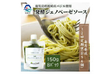 ＜毎月定期便＞ジェノベーゼソース(150g×8個)鹿児島県枕崎産バジル使用 全12回 JJ-6007【4050287】
