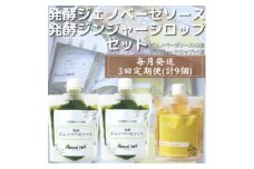 ＜毎月定期便＞ジェノベーゼソース×発酵ジンジャーシロップ 全3回 LL-6020【4050340】