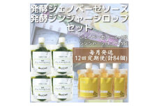 ＜毎月定期便＞ジェノベーゼソース×発酵ジンジャーシロップ(計7個セット) 全12回 JJ-6009【4050351】