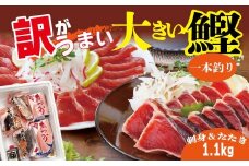＜訳あり＞大きい!!!サイズの炭火焼鰹タタキ&さしみ　A0-35【1508875】