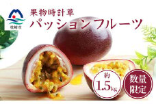 ＜先行受付＞トロピカルパッションフルーツ約1.5Kg  A3-50【1166520】