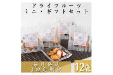 ＜毎月定期便＞枕崎産ドライフルーツミニギフトセット12袋 感謝御礼 お礼 贈り物LL-6044全3回【4050457】