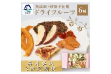 ＜毎月定期便＞ドライフルーツ6種 (大6袋) 詰め合わせギフト fラボ NN-0002 全3回【4050552】