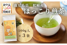 ＜のし付き・お中元＞ほっこり煎茶 100g×3袋　A5-1C【1508317】