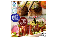 ＜のし付き・お中元＞1kgセットA 枕崎産かつおたたき約1kg・黒豚ハンバーグ1kg C0-43C【1511630】