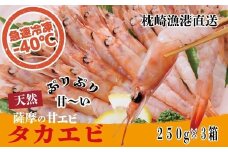 天然タカエビ250g×3箱　A1-1_ エビ 甘エビ 海老 あまえび 天然 海鮮 魚介類 甘海老 冷凍 刺身 【1524606】