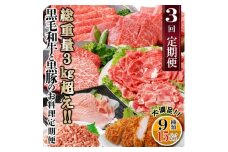 総重量3Kg越え、鹿児島県産黒毛和牛と黒豚のお料理定期便(3回配送)　EE0-0002_ 定期便 黒毛和牛 豚ロース 黒豚 牛すじ ミンチ 肉 おすすめ 送料無料 贈答 ギフト 【1504377】