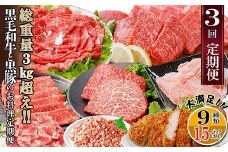 総重量3Kg越え、鹿児島県産黒毛和牛と黒豚のお料理定期便(3回配送)　EE0-0002_ 定期便 黒毛和牛 豚ロース 黒豚 牛すじ ミンチ 肉 おすすめ 送料無料 贈答 ギフト 【1504377】