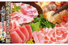 4種バラエティーセット　A8-94_ 豚肉 黒豚 鹿児島県産 ホルモン マグロ 刺身 バラ ロース まぐろ 鮪 【1528196】