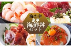 ZIP!で紹介!海鮮丼セット 4種 天然タカエビ (薩摩 甘エビ )鰹・鮪丼  刺身で  A0-33【1532502】