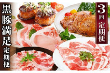 定期便3回配送　黒豚満足　定期便　QQ-0004_ 定期便 肉 お肉 ロース バラ スライス テキカツ ハンバーグ 黒豚 焼肉 焼き肉 やきにく しゃぶしゃぶ 豚しゃぶ バーベキュー おかず 惣菜 おすすめ 【1538812】