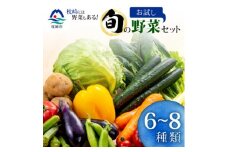 枕崎には野菜もある!!定番・旬のお試し野菜セット　Z0-27【1535821】