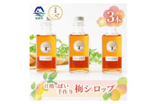 ＜のし付き・お歳暮＞梅シロップ 180ml×3瓶　手づくり 希釈用 A3-27S【1551665】