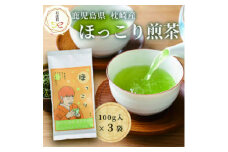 ＜のし付き・お歳暮＞一番茶のみ使用　ほっこり煎茶 100g×3袋 A5-1S【1551762】