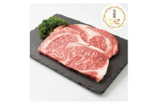 ＜のし付き・お歳暮＞枕崎牛 ロースステーキ＜400g＞ B3-63S【1552011】