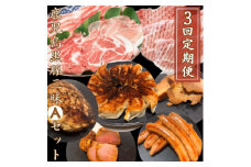 ＜発送月固定定期便＞鹿児島黒豚三昧Aセット DD0-0010全3回【4057556】