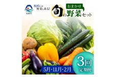 ＜発送月固定定期便＞枕崎の野菜!!定番・旬の野菜お任せセット(5・11・2月)DD0-0008全3回【4057567】
