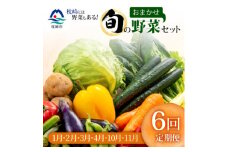 ＜発送月固定定期便＞枕崎には野菜もある!!定番・旬の野菜お任せセット HH0-0002 全6回【4057570】