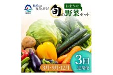 ＜発送月固定定期便＞枕崎の野菜!!定番・旬の野菜お任せセット(3・9・12月)DD0-0009全3回【4057594】