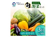 ＜発送月固定定期便＞枕崎の野菜!!定番・旬の野菜お任せセット(4・10・1月)DD0-0007全3回【4057601】