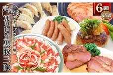 ＜発送月固定定期便＞鹿児島県産黒豚三昧Bセット GG5-0001全6回_黒豚 豚肉 鹿児島県 国産 定期便 美味しい 人気 送料無料【4057557】