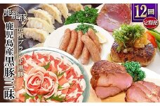 ＜発送月固定定期便＞鹿児島県産黒豚三昧 HH-2全12回_黒豚 豚肉 鹿児島県 国産 定期便 美味しい 人気 おすすめ 送料無料【4058399】