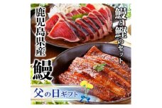 ＜父の日＞枕崎産かつお節香る　鰻と鰹セットA6-137F【1559586】