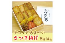 枕崎 お魚センター＜手作り さつま揚げ＞8種 計14枚 あま～い ふるさとの味Z0-30【1560618】
